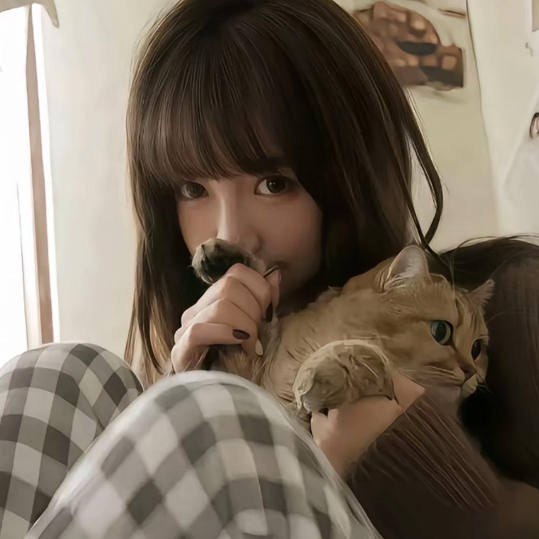 会弹吉他的猫