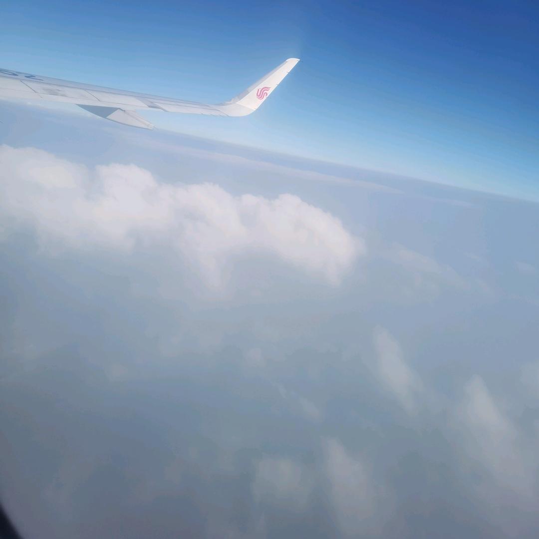 飞哥