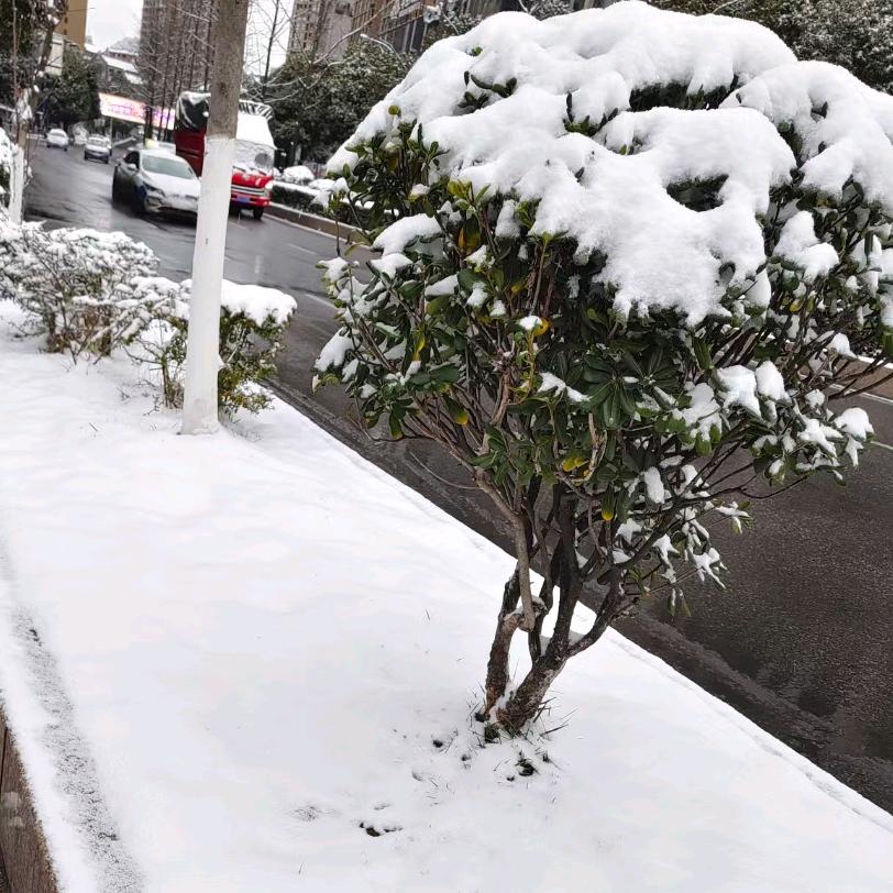 雪中送炭☃️☃️