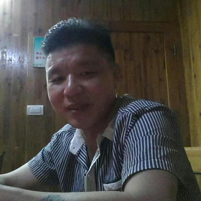 情为何物