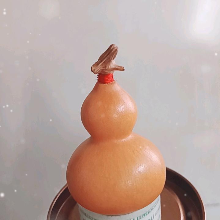 快乐涛哥🌊💨