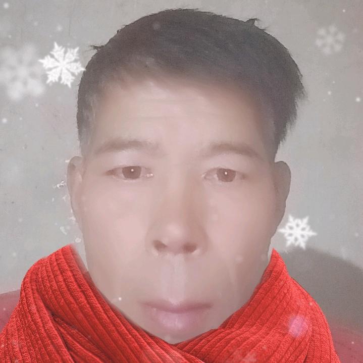 王仓一枝花