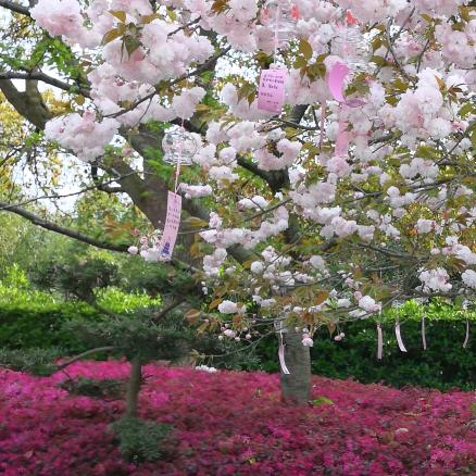 v！！！！！！！