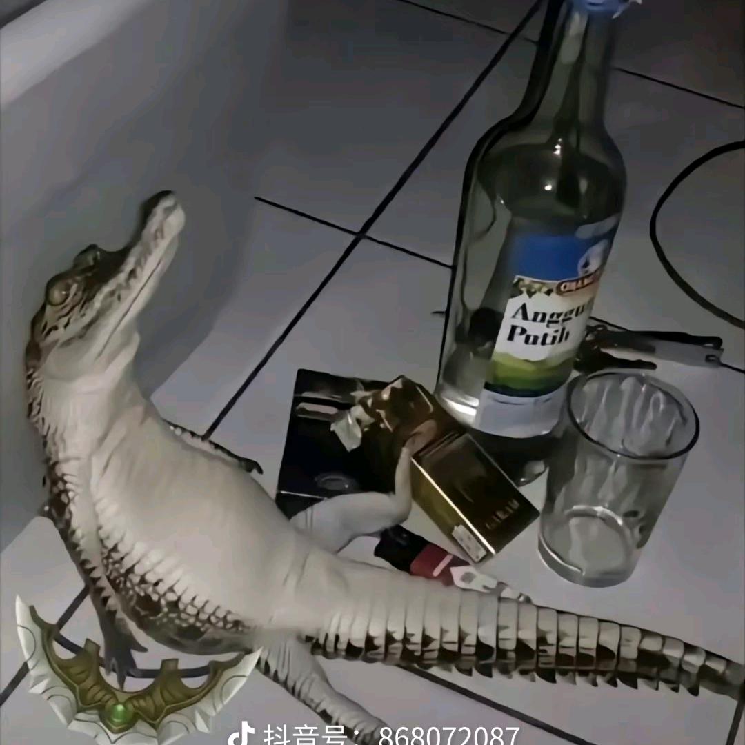 LT