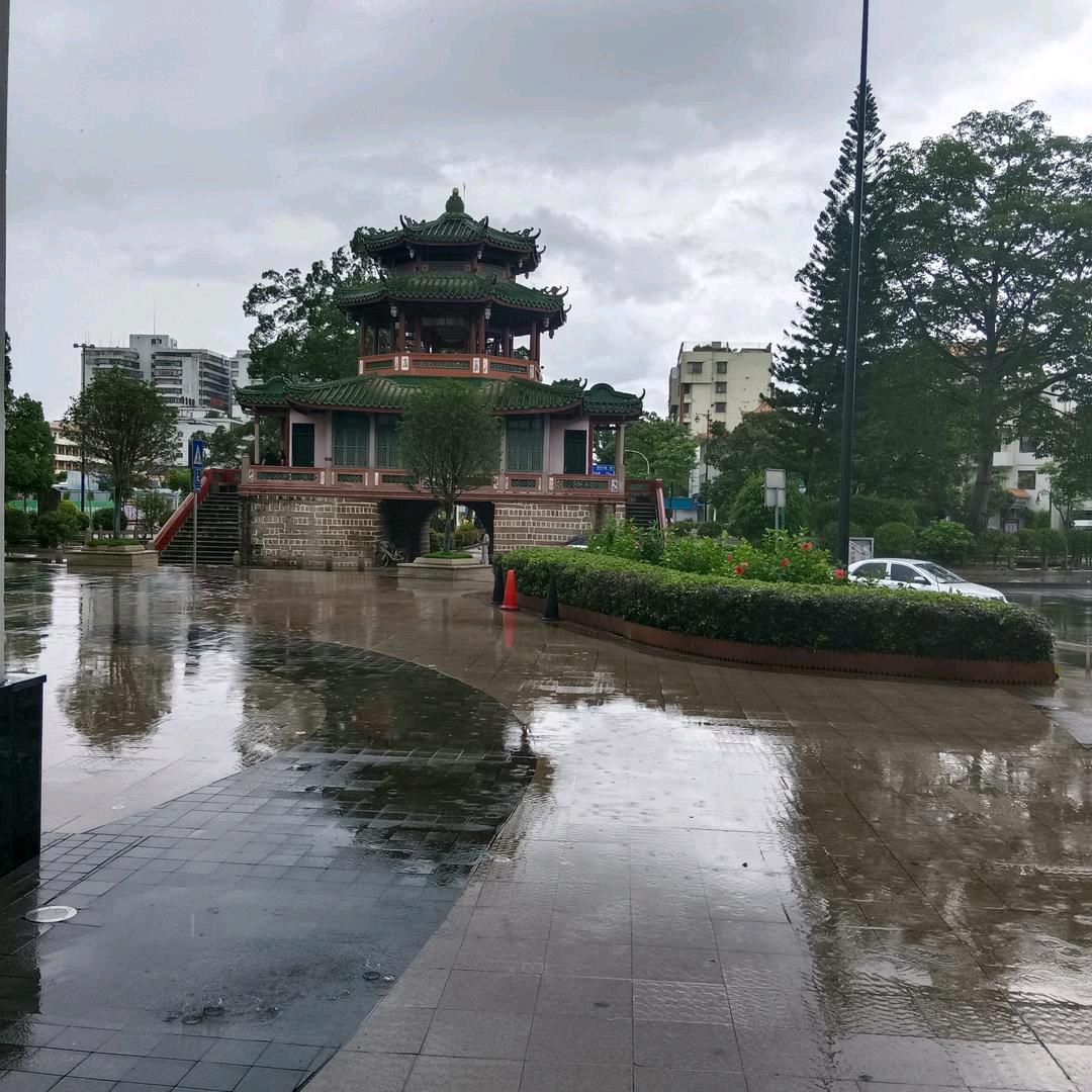 💐梦🌿哥🌺🙏