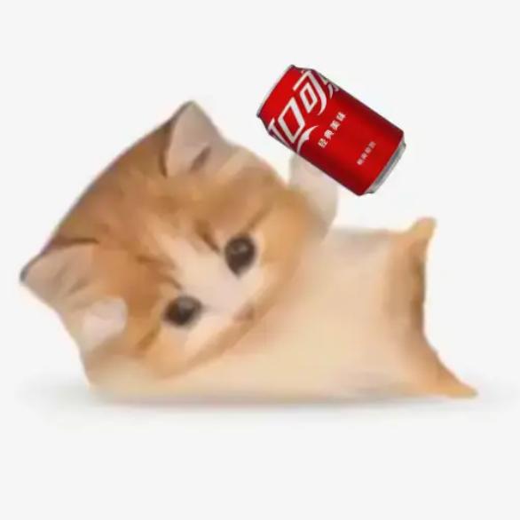 假如给我3天雨姐