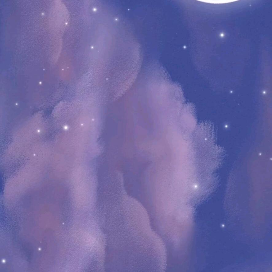 太仓华胜奇瑞风云张银