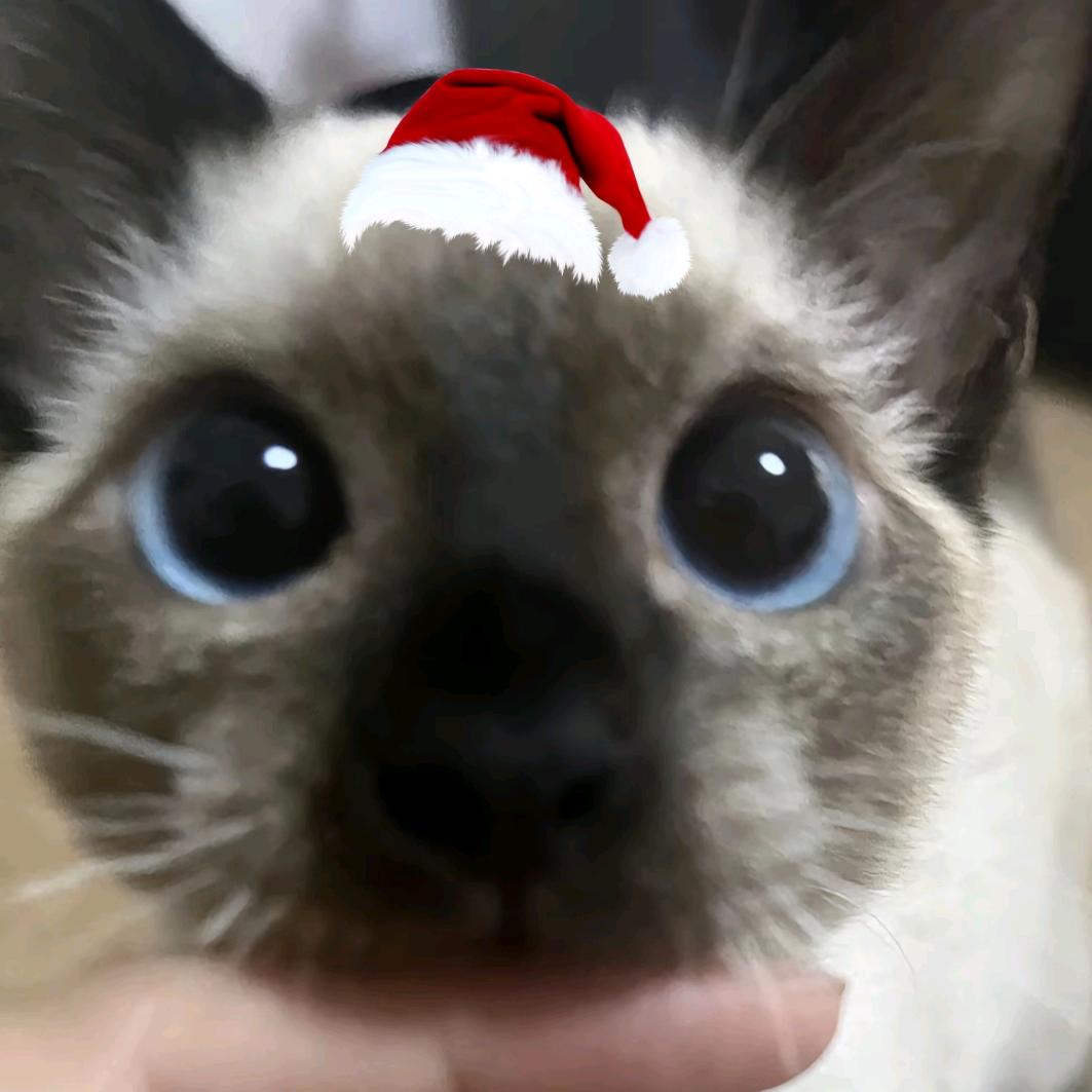 萌妹子放学一起走哇