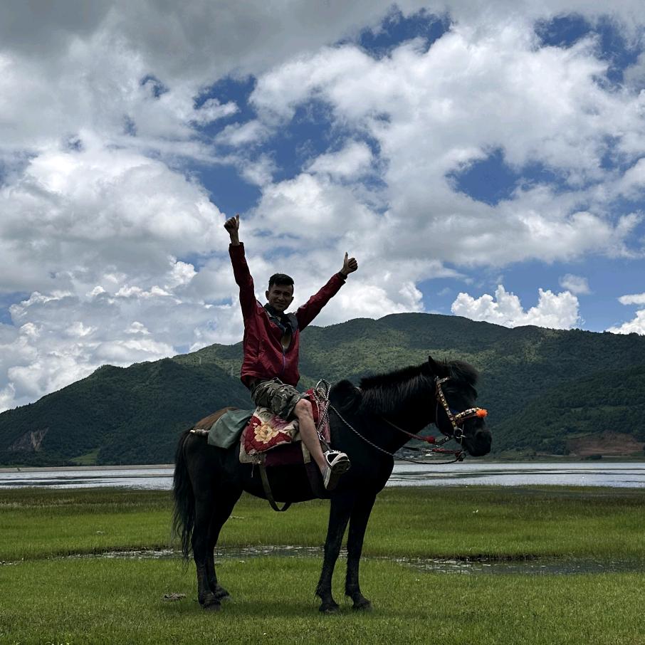 大理定制旅游 向导
