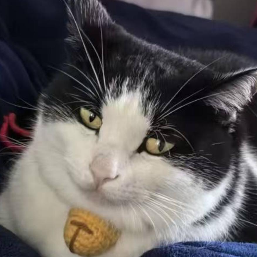 小凹凹打工日记