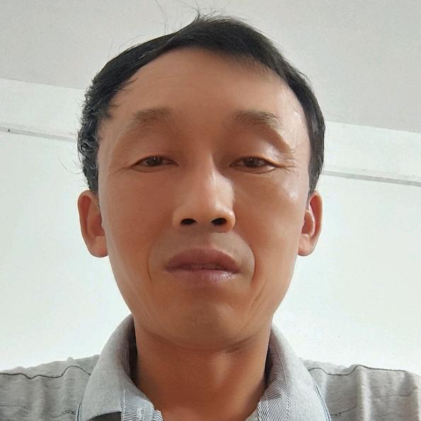 龙行天下Z