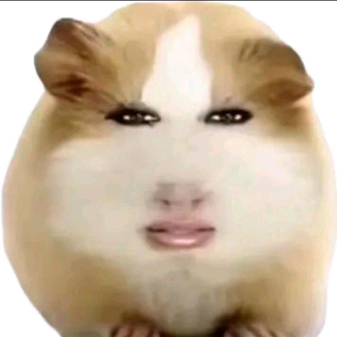 ⁰⁹₂₇无语琦🐰