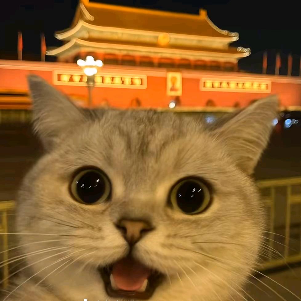 蟹不肉"