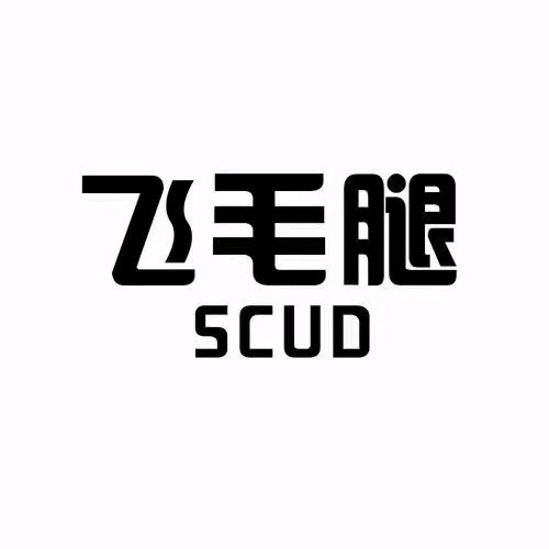 仙桃飞毛腿极速配送老九