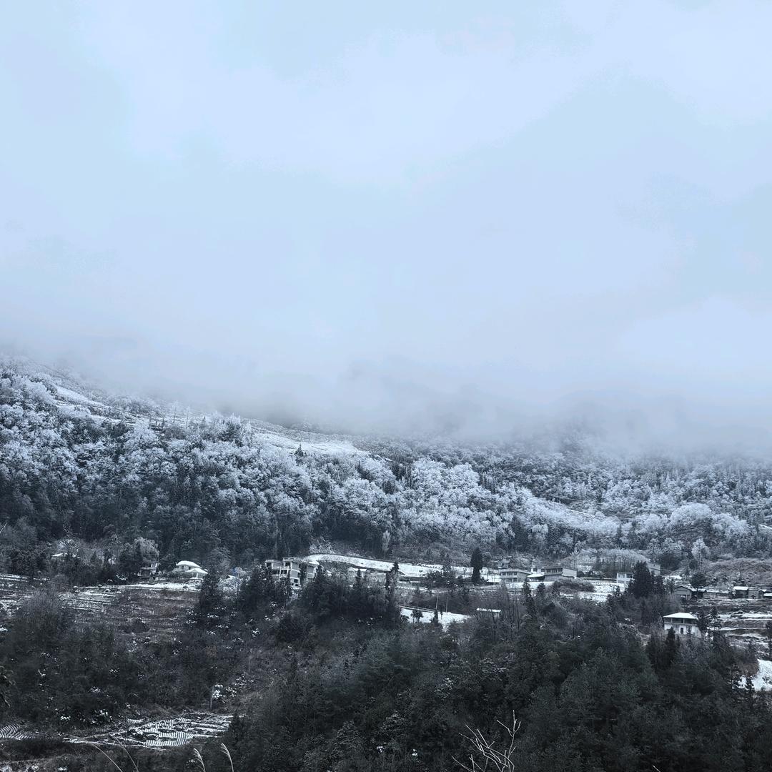 1234中国🇨🇳1234