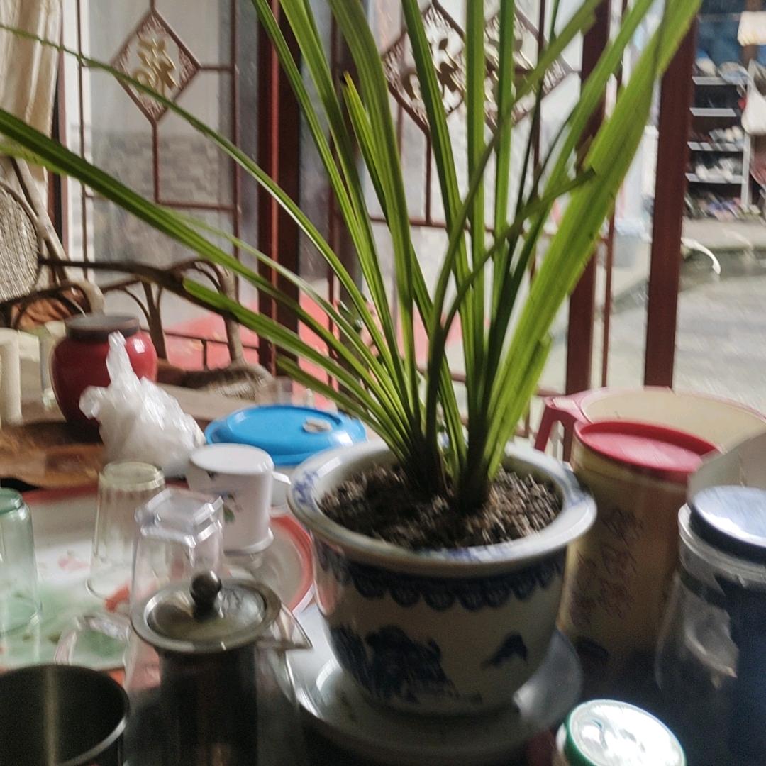 真心对待