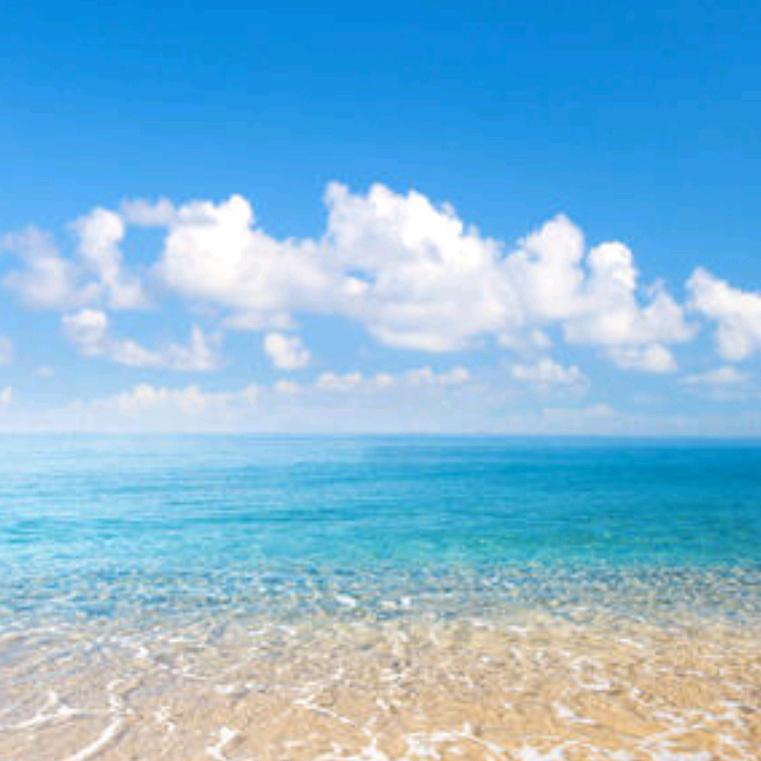 多彩人生的中年人sss