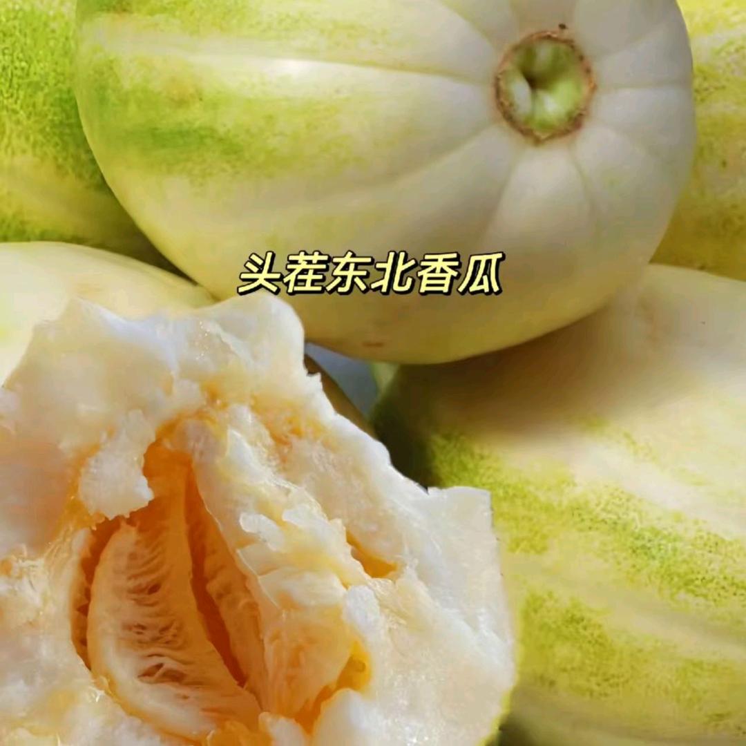 阳哥杂粮店