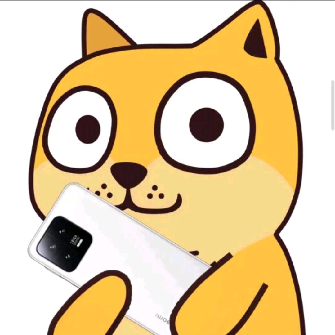 爱导机的爆改59式ultra