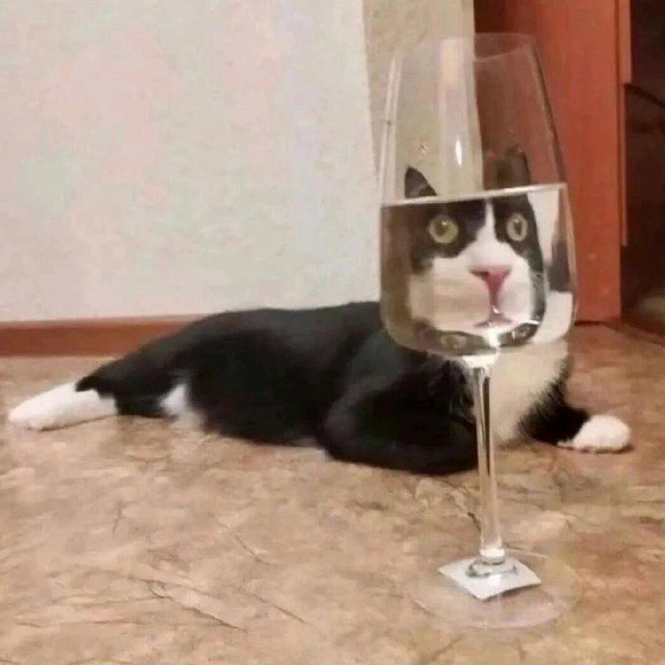 隔三差五吃火锅