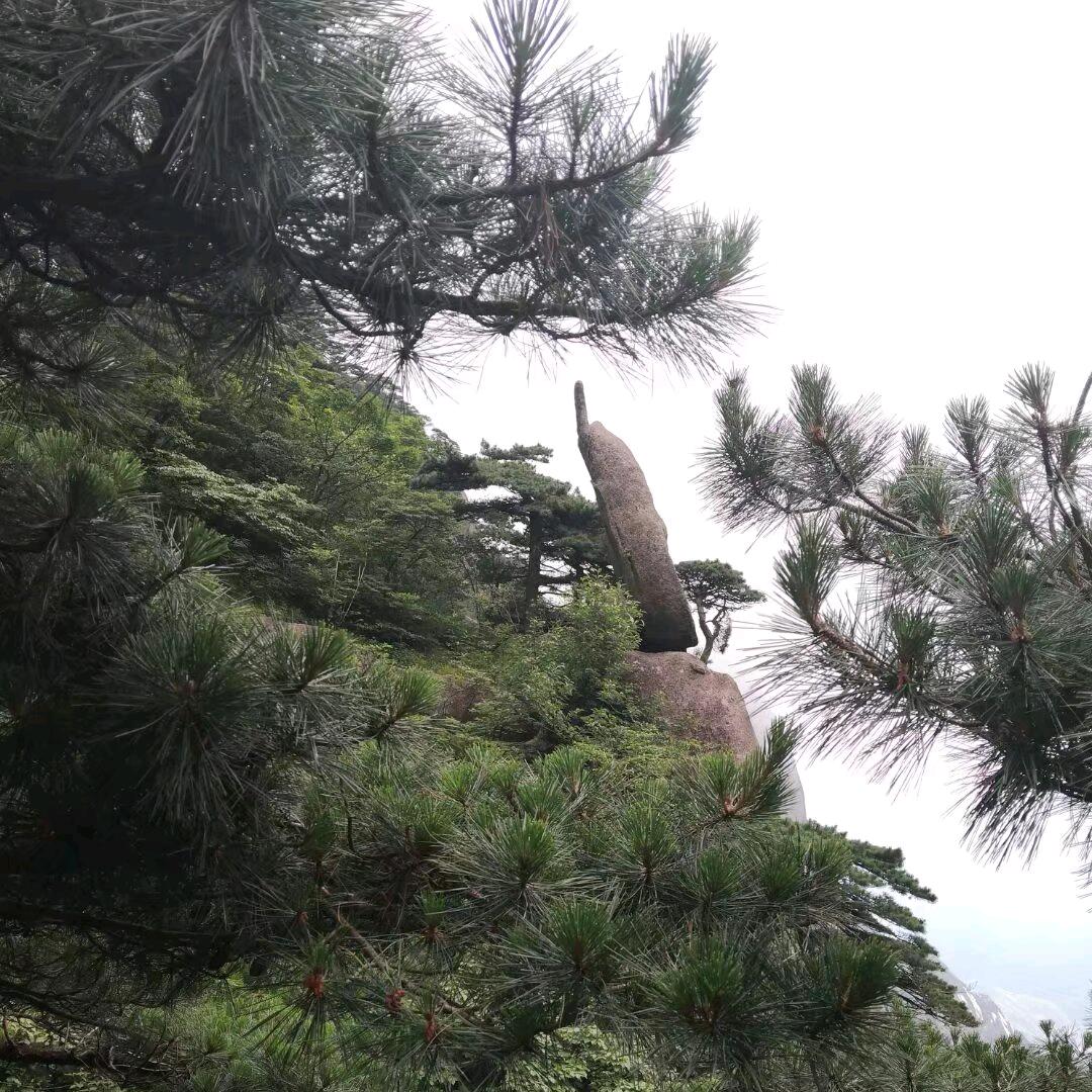 淡然自若