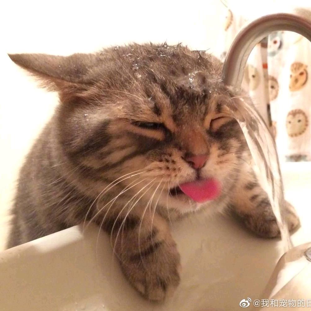 肇岁初十