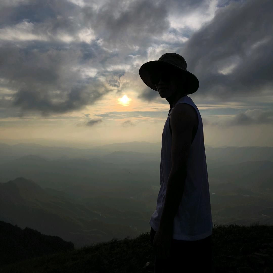 月月鸟（工地版）