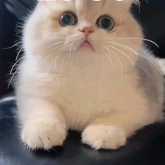 💋半梦半傻👸🏼