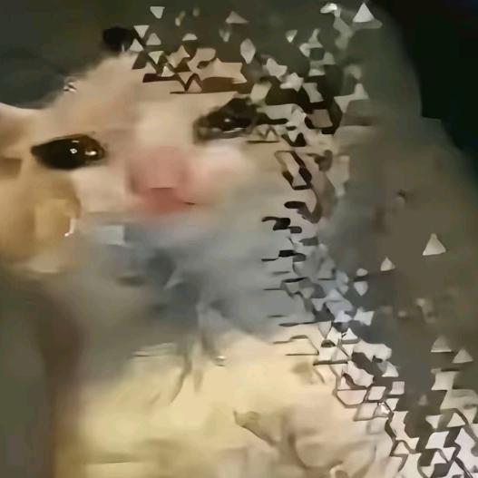 梧撰