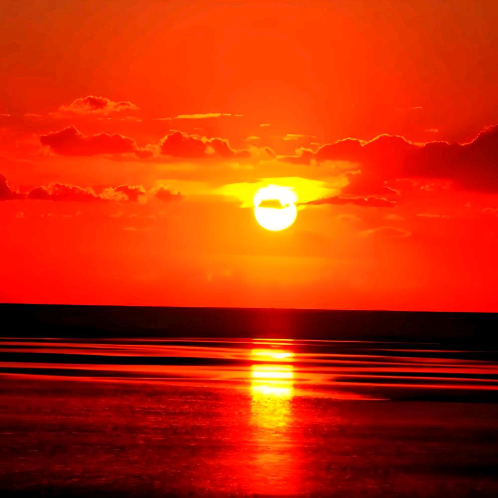 🔥红太阳🔥
