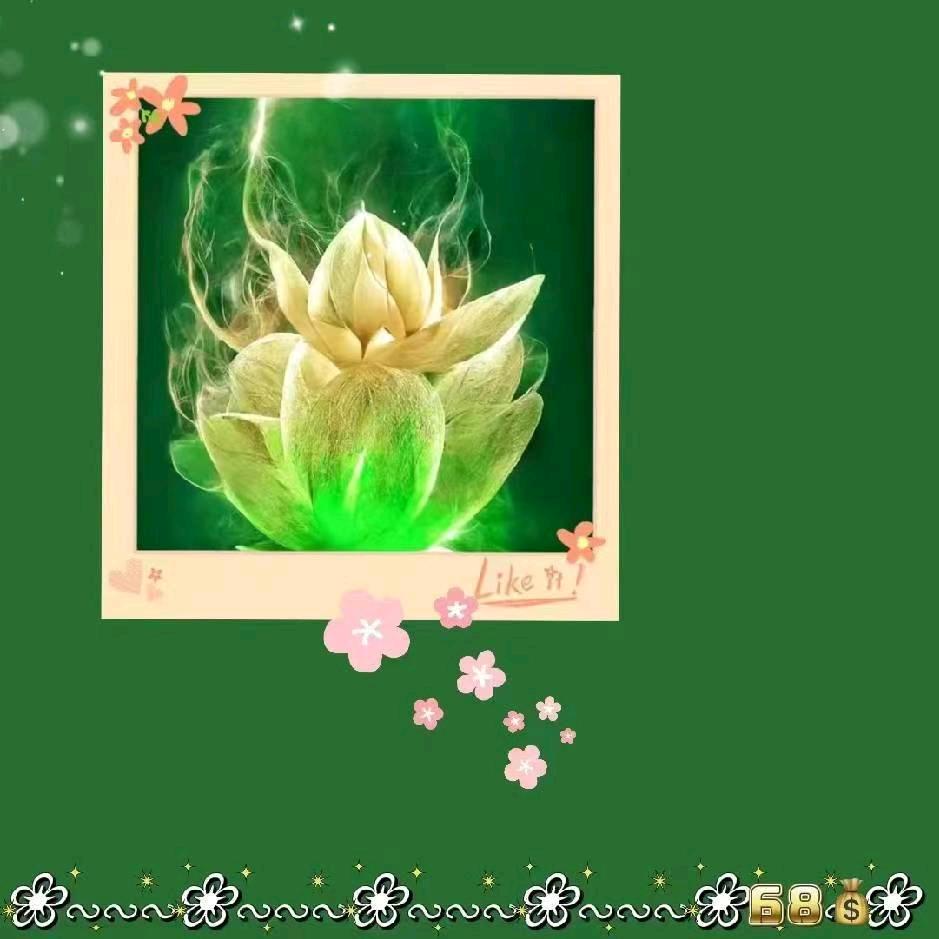 慧然爱分享