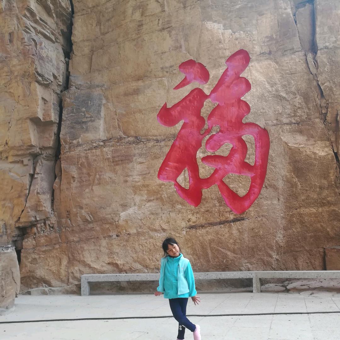 树哥说剧情