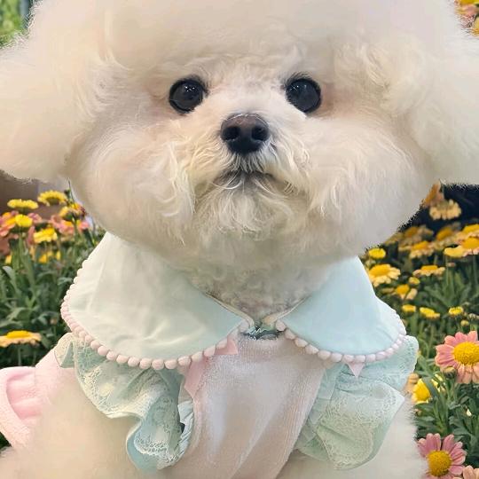 随便看