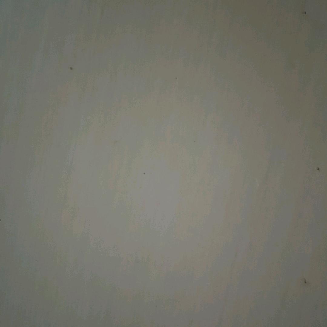 无名小贝