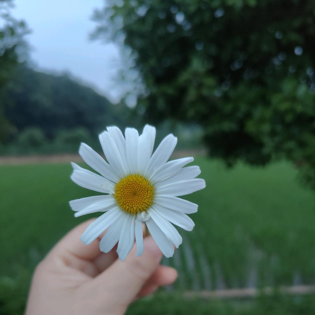 🌻🌻知足
