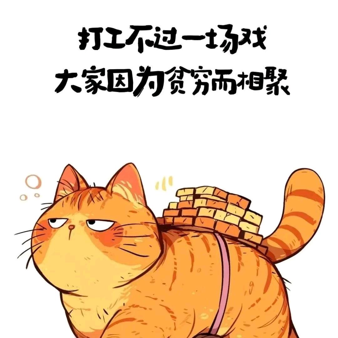 🚬 ℳঞ信命ꦿᩚ不认命 ໌້ᮨ꧔ꦿ᭄