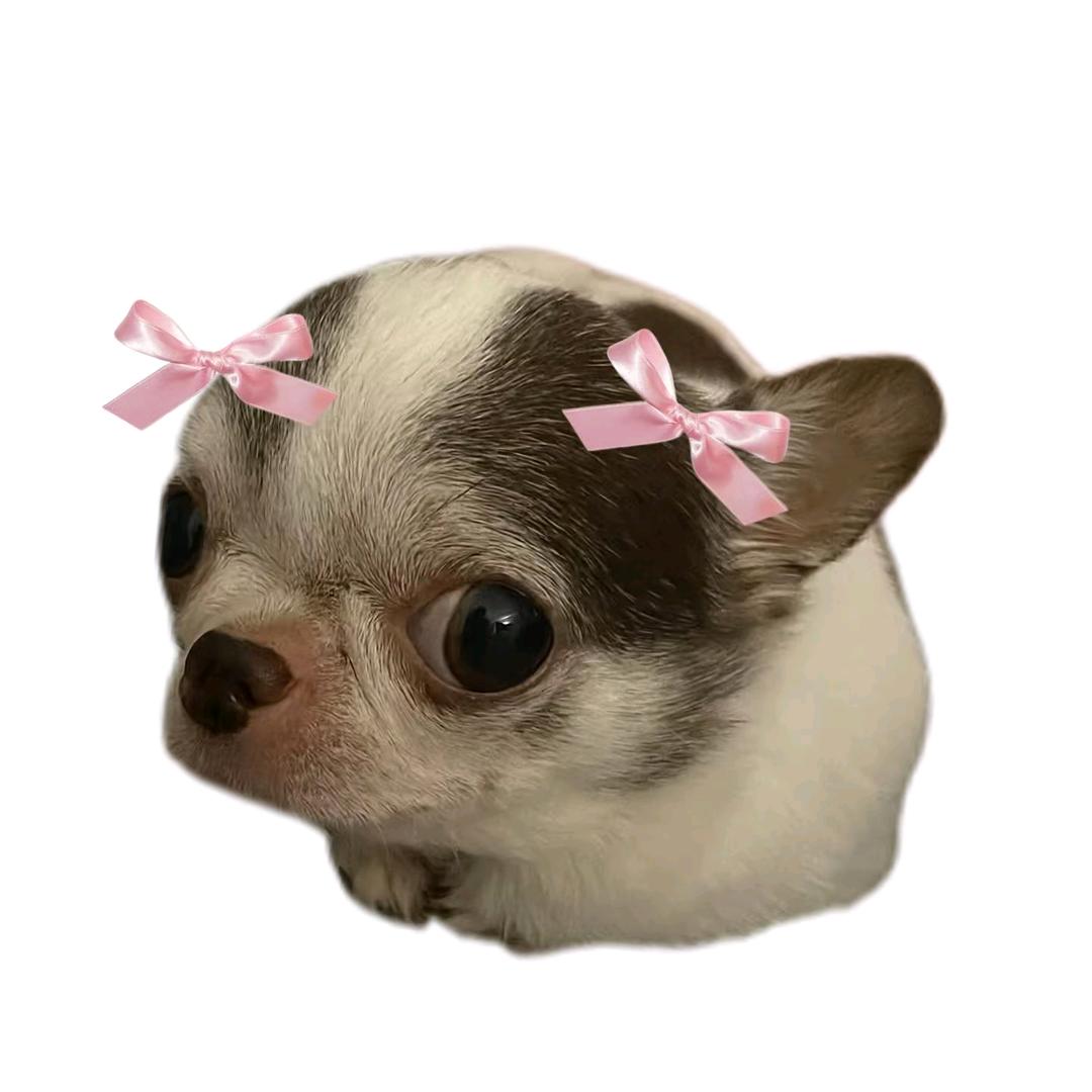安