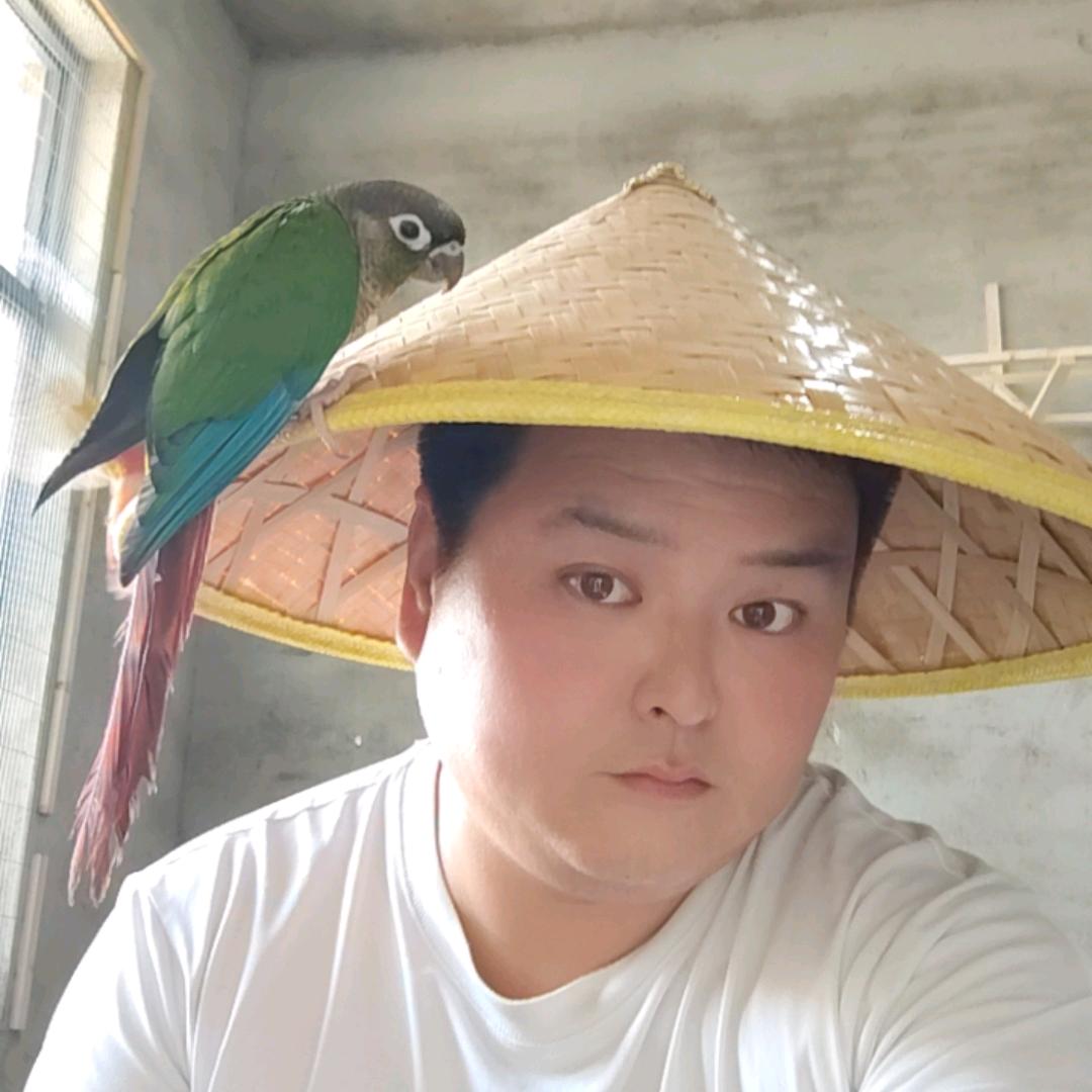 强哥养鹦鹉