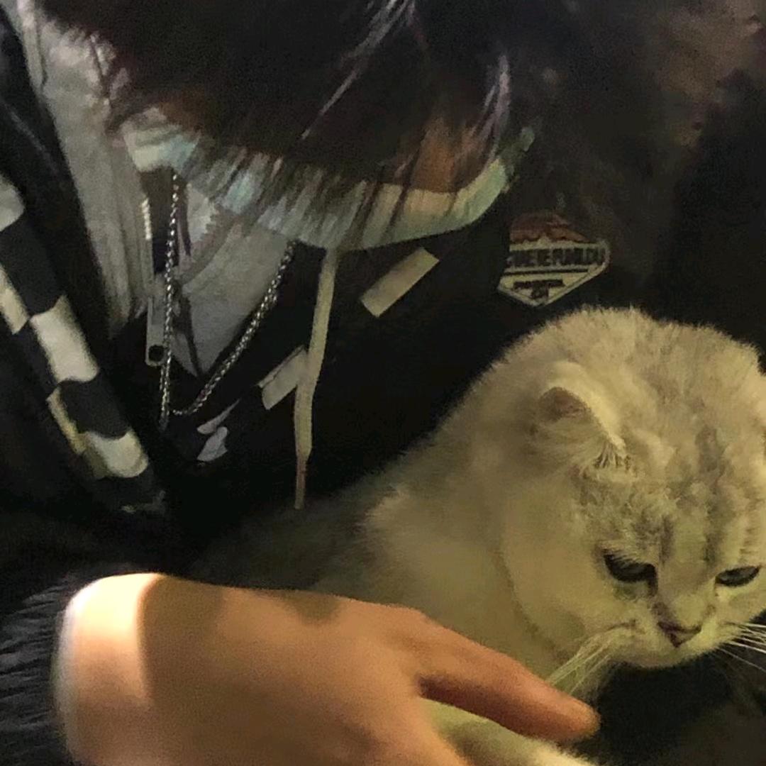 不.