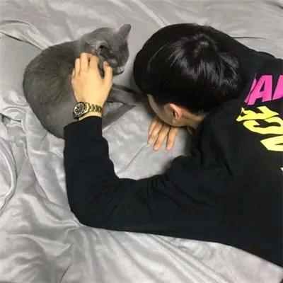 小猪