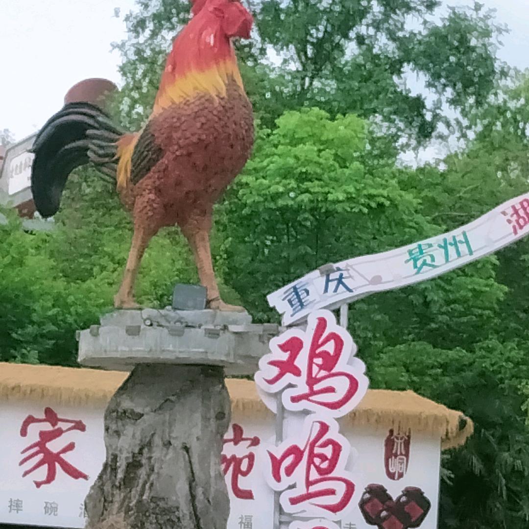 人怕无情！心怕伤！