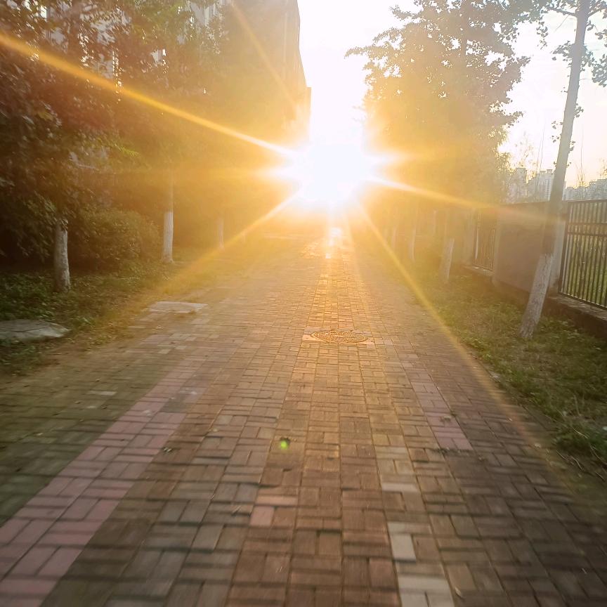 小管