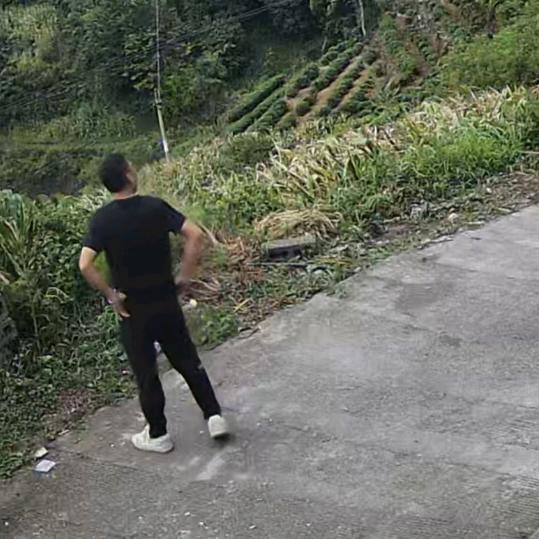 野性男孩