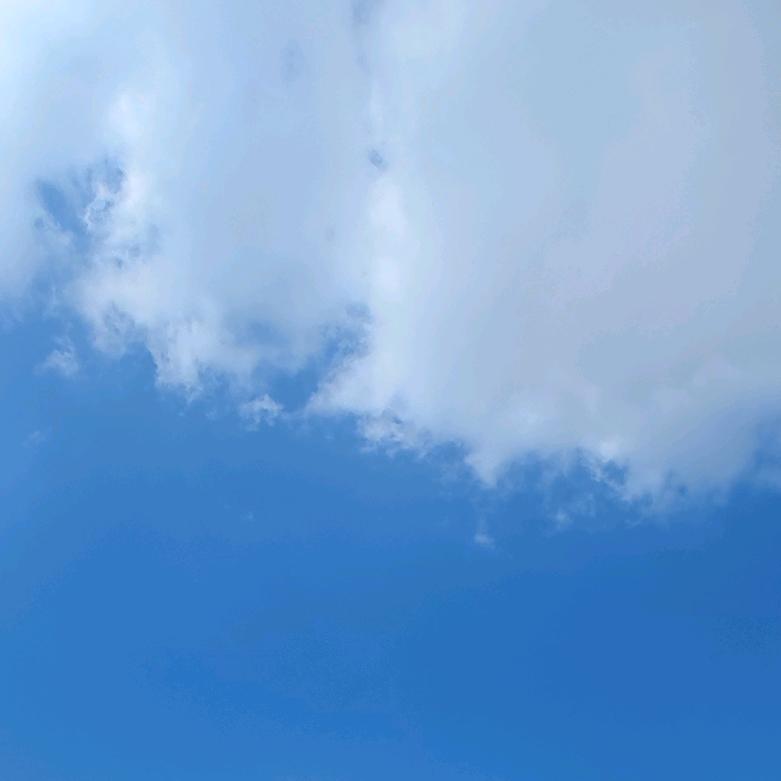 城南，旧事