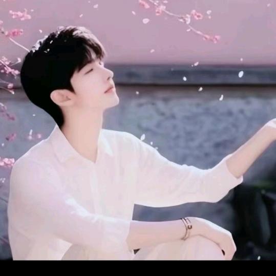 铭鼎互粉5千粉丝