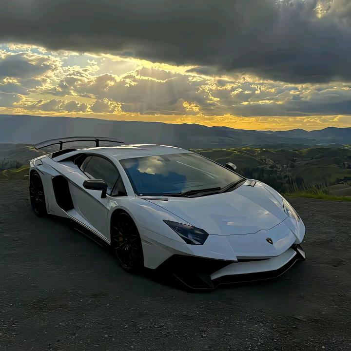 阿莲在努力搬砖