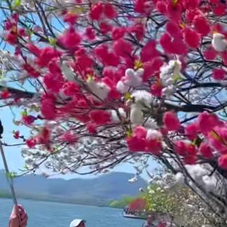 逛逛买买吃吃耶