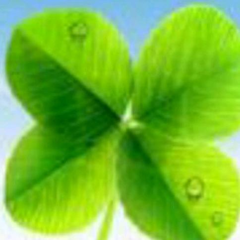 所向披靡（信运固始→盛泽）47999