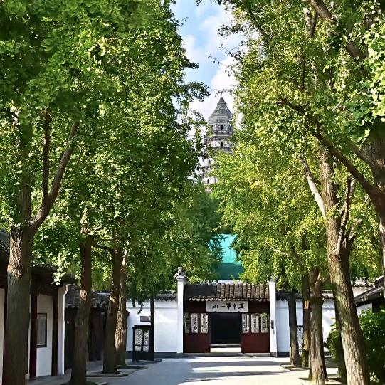 淩駕風雲之禦姐