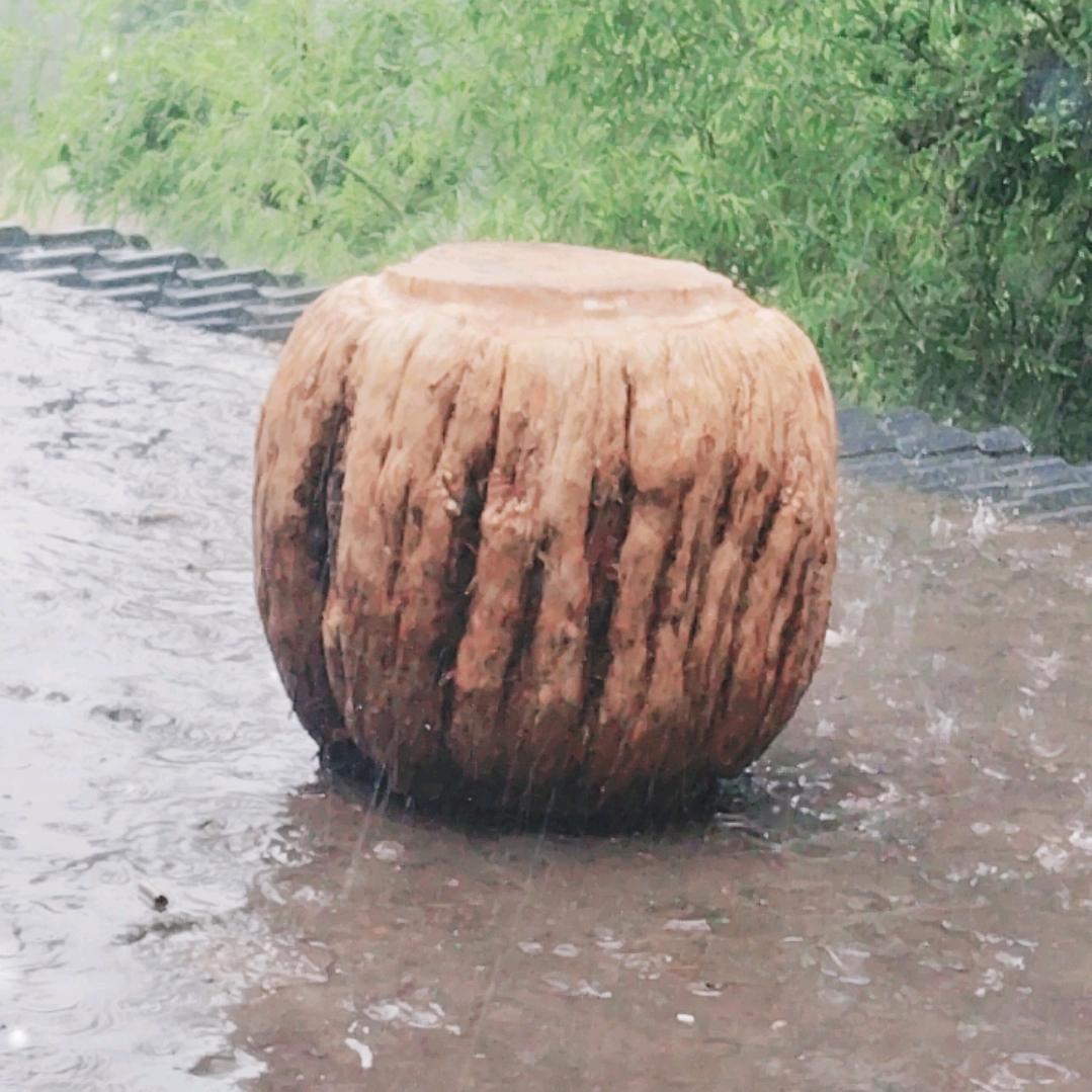 苏泽军